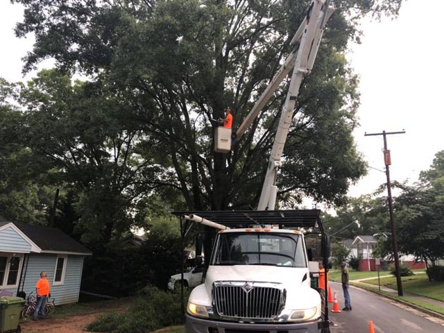 Southeastern Tree and Landscaping | tree service, cutting down lines for city